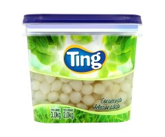 Cebolinha Em Conserva 2,0kg