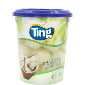 Cebolinha Em Conserva 300g